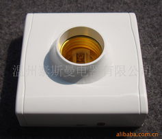 温州泰斯曼电器