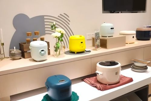 二季度业绩放缓，小熊电器需要护城河
